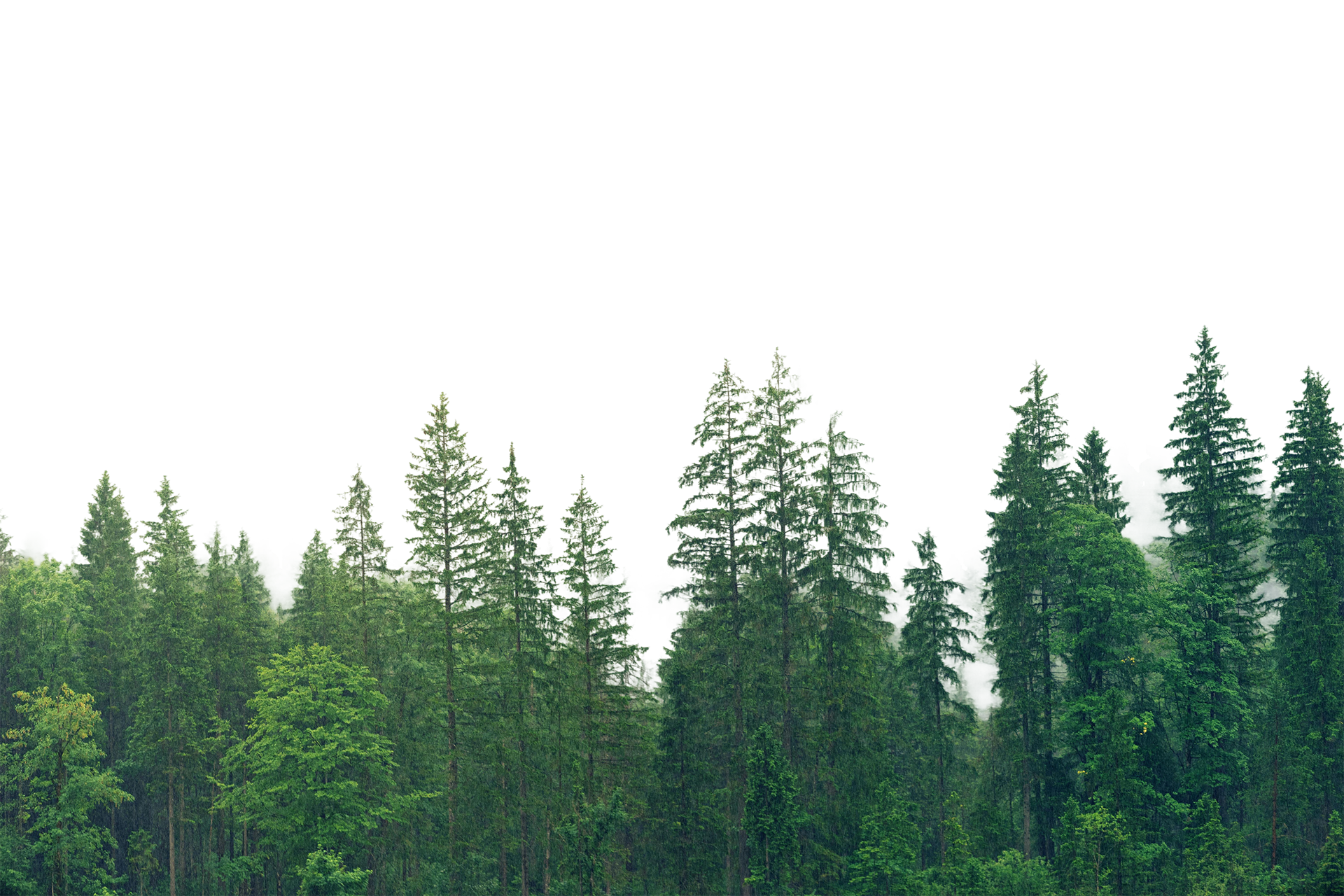 camping calme cote dopale