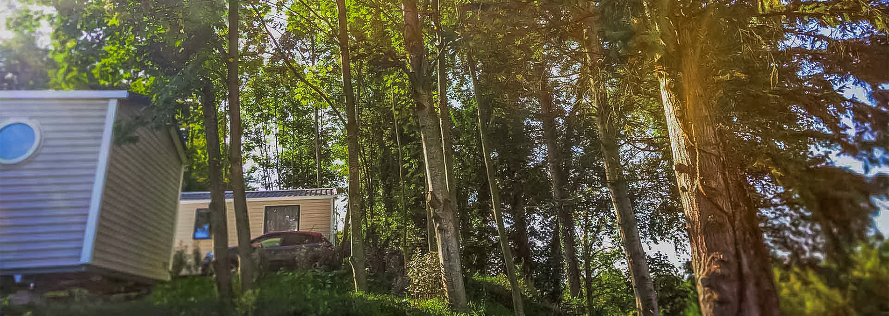 cadre verdoyant et calme