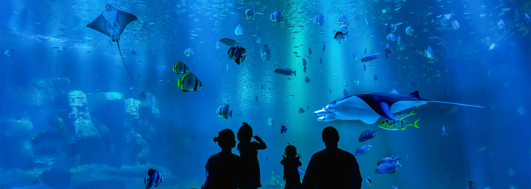plus grand aquarium d europe