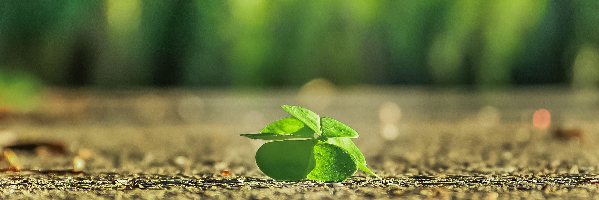 politique de confidentialite domaine du blanc pignon la calotterie